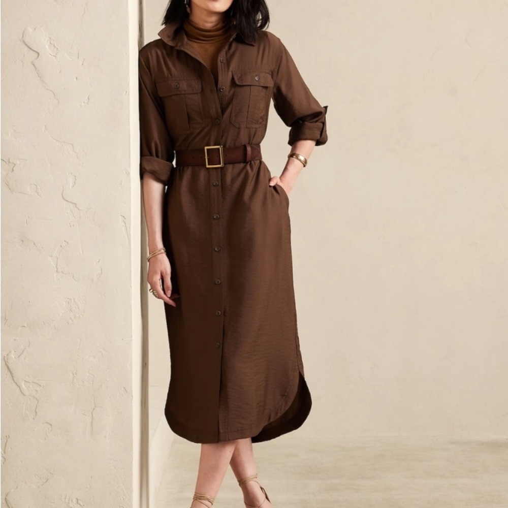 Banana Republic brown utility dress with belt